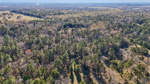 $45,000 | 0 Bay Tree Street, Trinity, TX 75862