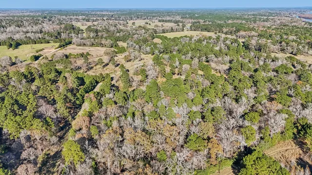 $45,000 | 0 Bay Tree Street, Trinity, TX 75862