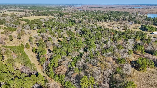 $45,000 | 0 Bay Tree Street, Trinity, TX 75862