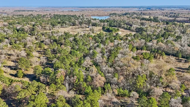 $45,000 | 0 Bay Tree Street, Trinity, TX 75862