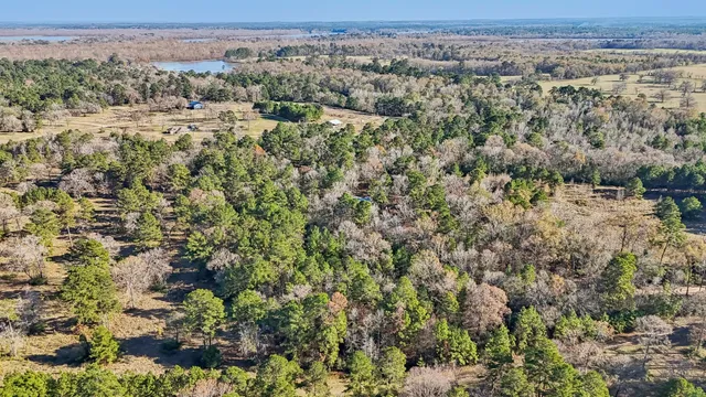 $45,000 | 0 Bay Tree Street, Trinity, TX 75862