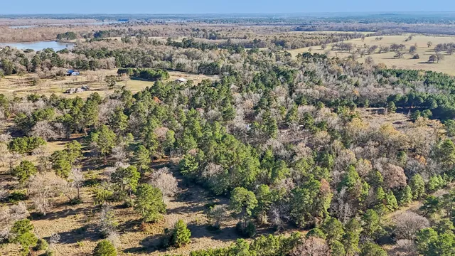 $45,000 | 0 Bay Tree Street, Trinity, TX 75862