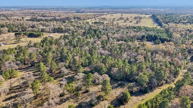 $45,000 | 0 Bay Tree Street, Trinity, TX 75862