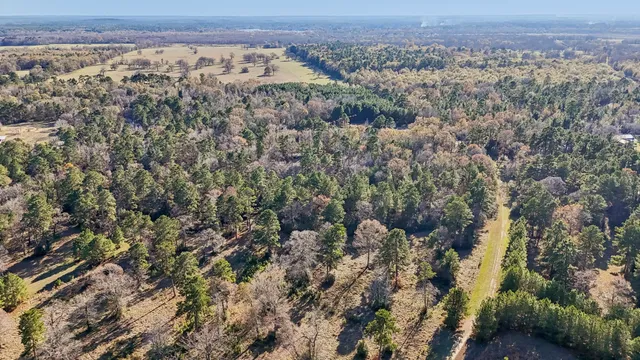 $45,000 | 0 Bay Tree Street, Trinity, TX 75862