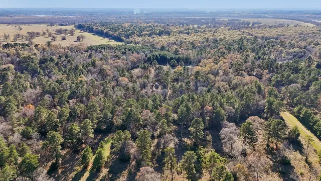 $45,000 | 0 Bay Tree Street, Trinity, TX 75862