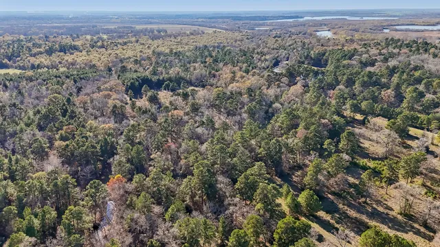 $45,000 | 0 Bay Tree Street, Trinity, TX 75862