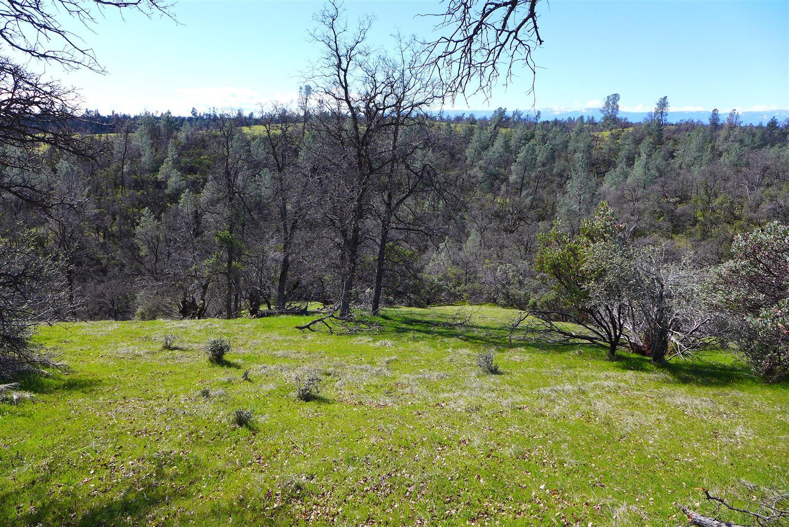 20-ac Coal Pit Road Anderson, CA 96007 - Photo 1 of 16 1
