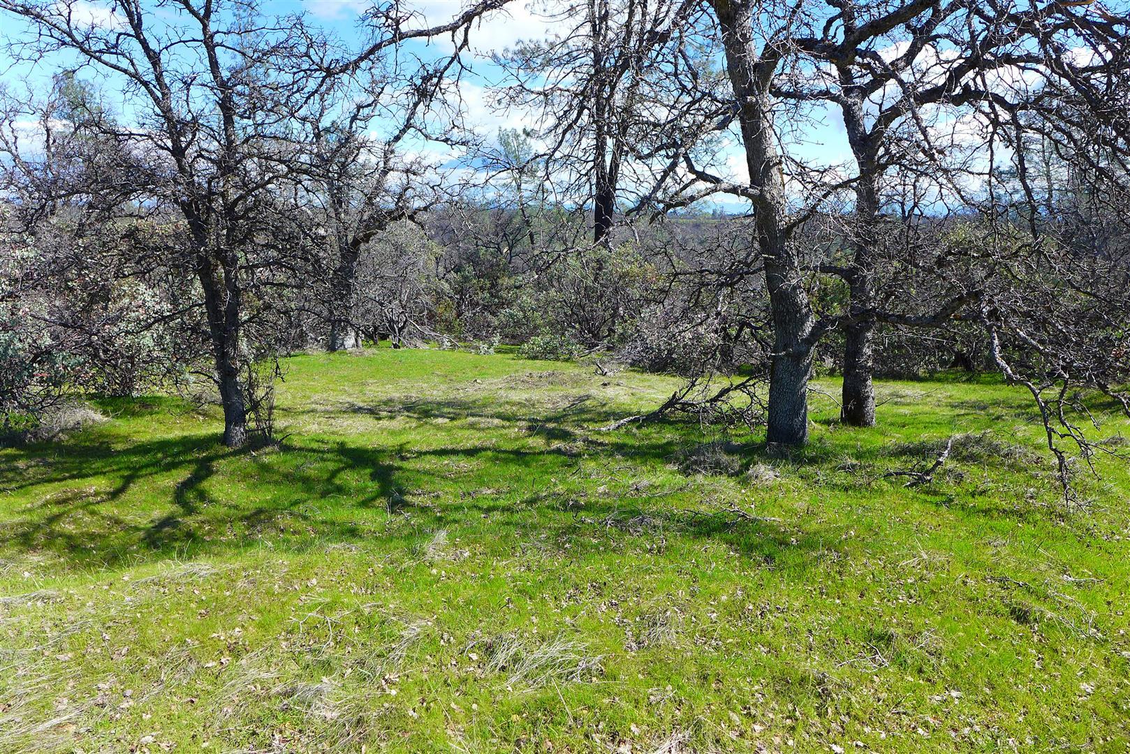 20-ac Coal Pit Road Anderson, CA 96007 - Photo 11 of 16 P1040239