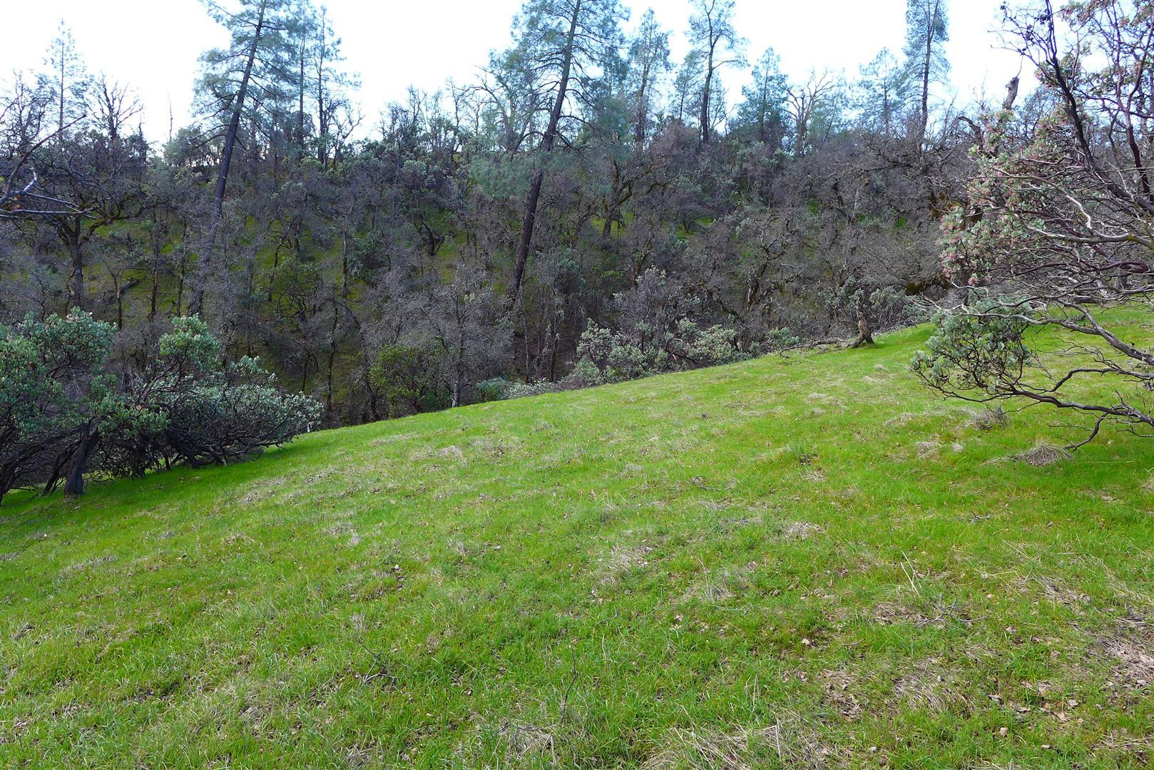 20-ac Coal Pit Road Anderson, CA 96007 - Photo 16 of 16 P1040244