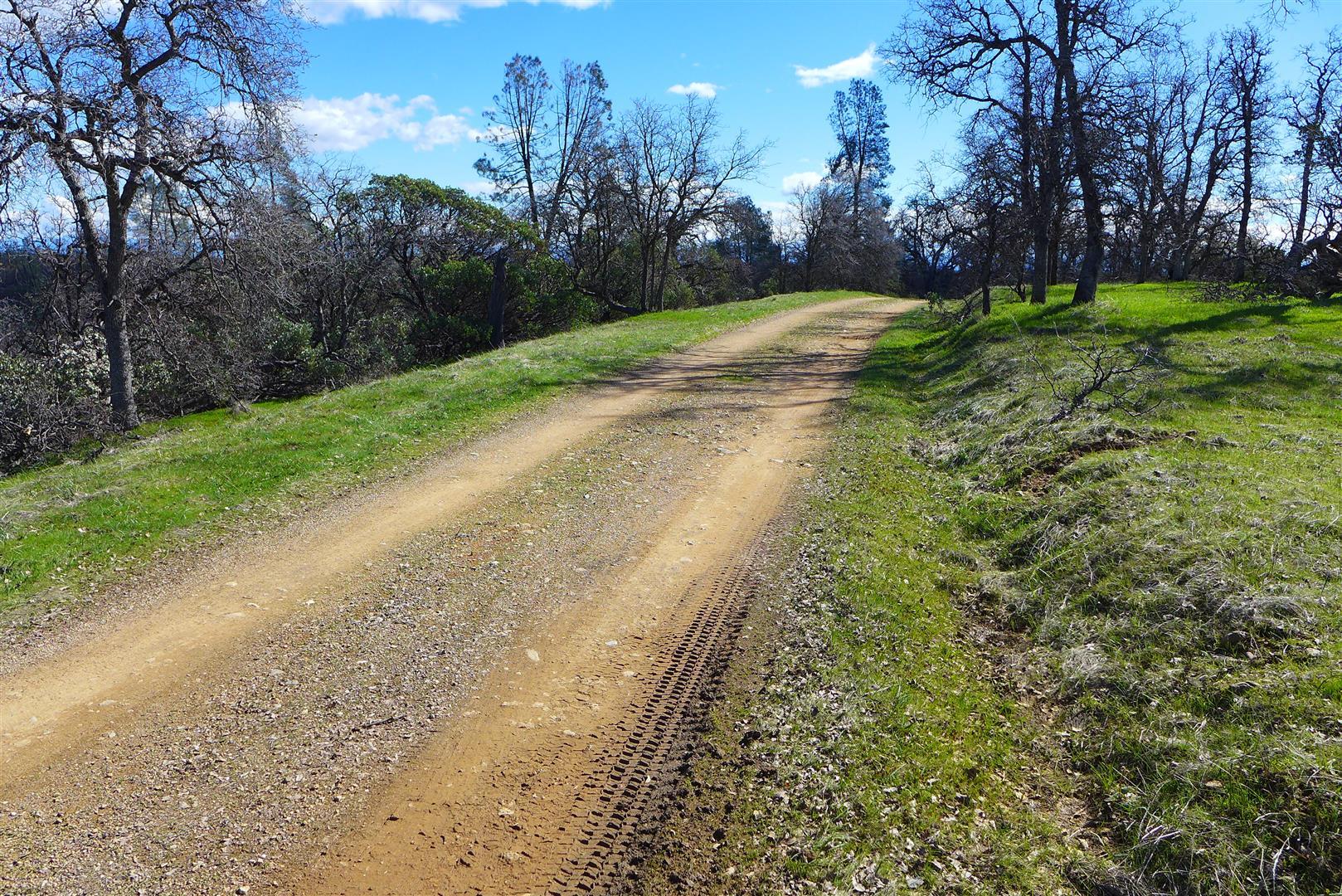 20-ac Coal Pit Road Anderson, CA 96007 - Photo 5 of 16 P1040232