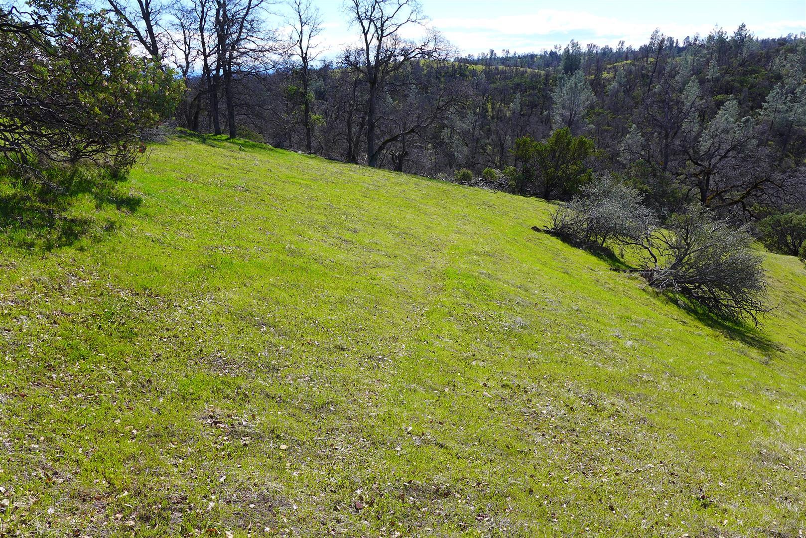 20-ac Coal Pit Road Anderson, CA 96007 - Photo 6 of 16 P1040234