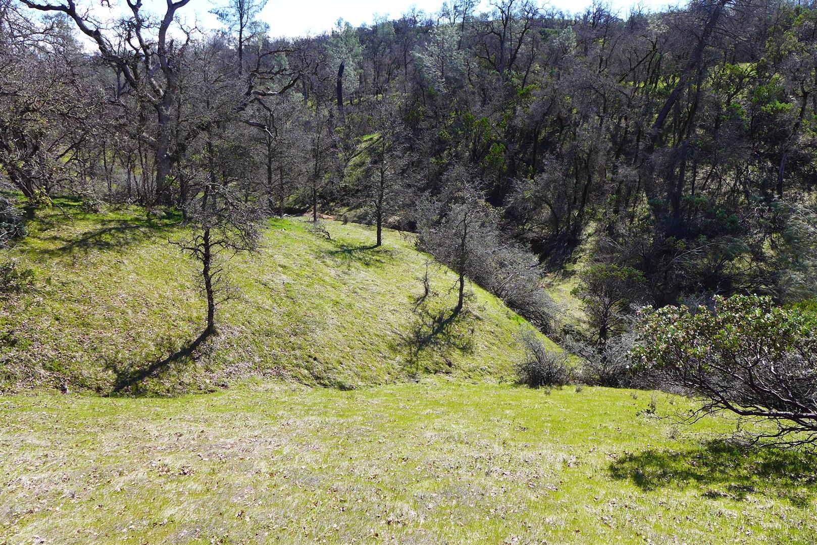 20-ac Coal Pit Road Anderson, CA 96007 - Photo 7 of 16 P1040235