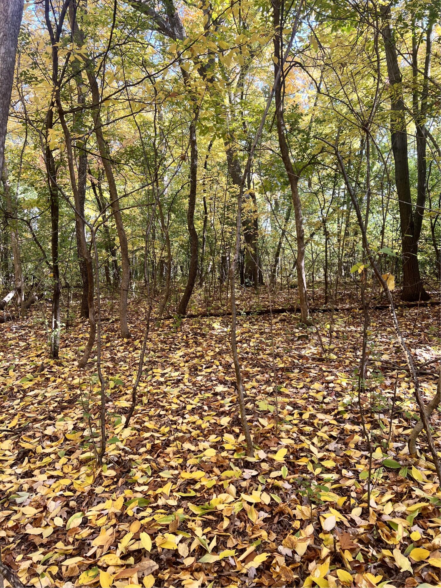 37D3F3F9-9D5F-4753-ABD1-7BA2628C534B