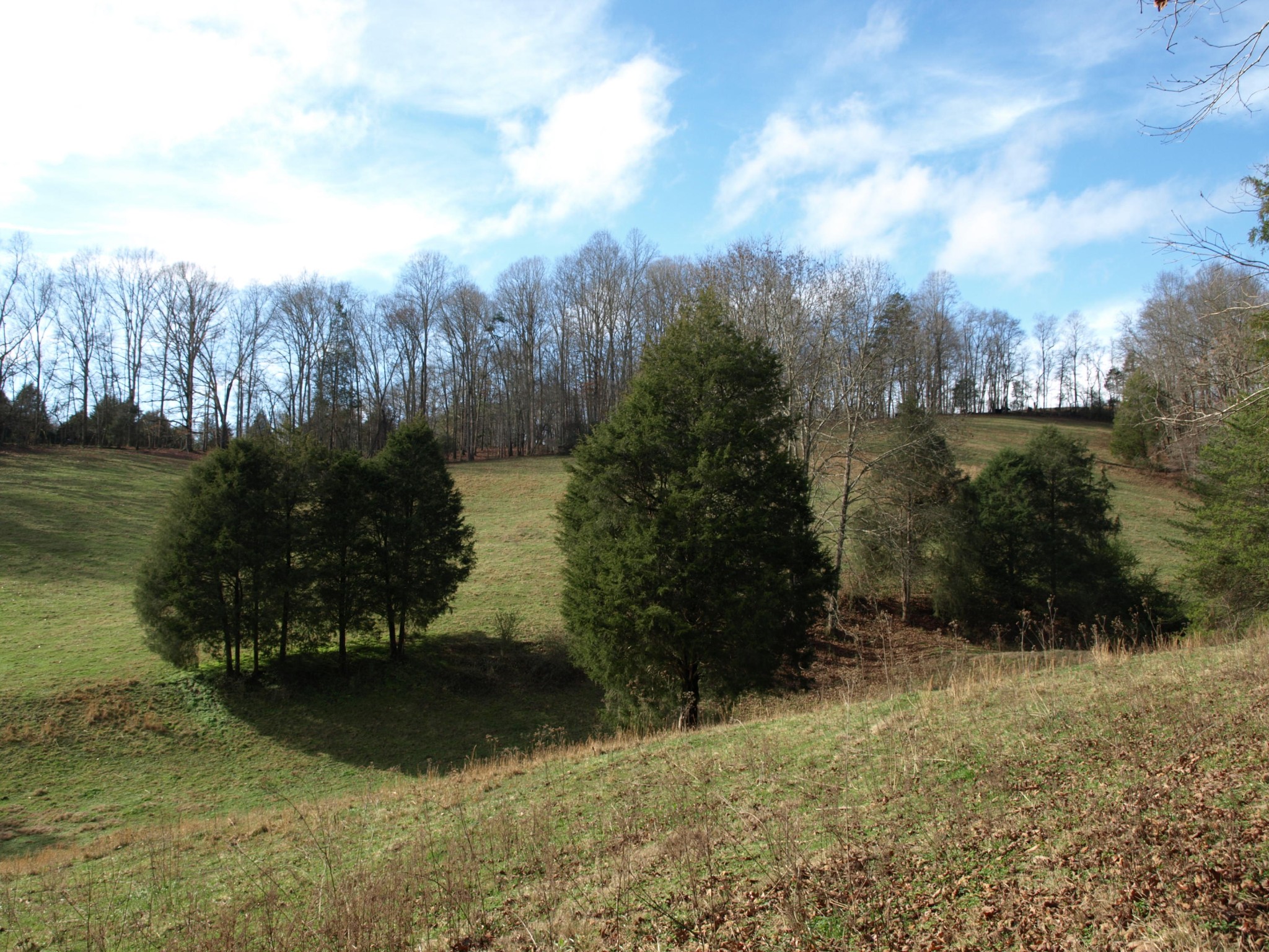 0 Big Creek Road La Follette, TN 37766 - Photo 2 of 30 Gallery Image 2