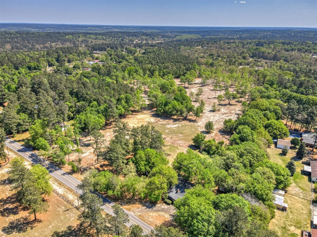 273 Redds Branch Road Aiken, SC 29801 - Photo 6 of 52
