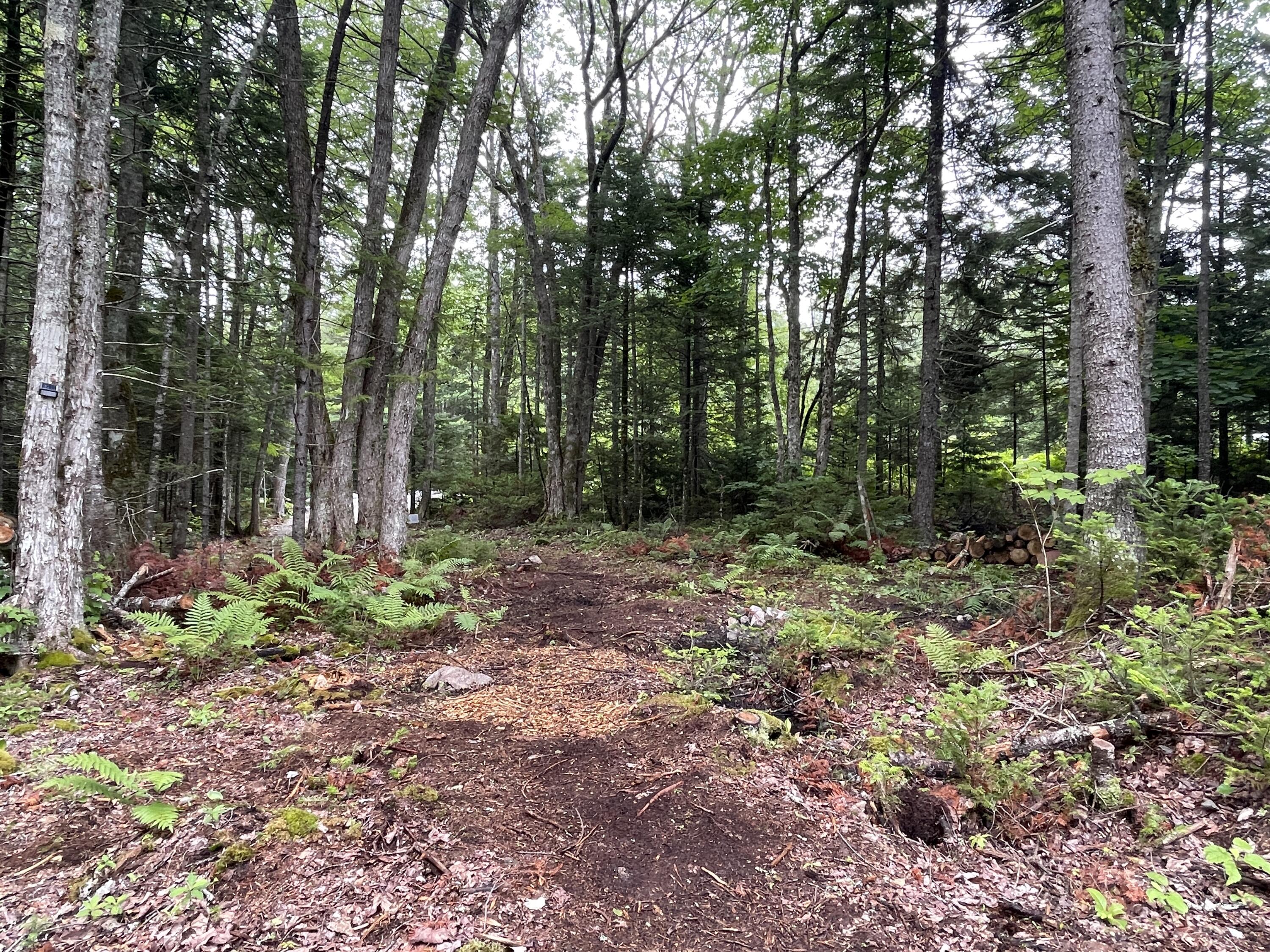 241 Mogador Road Steuben, ME 04680 - Photo 23 of 29 IMG_9266