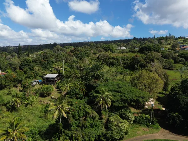 an aerial view of a houses with yard