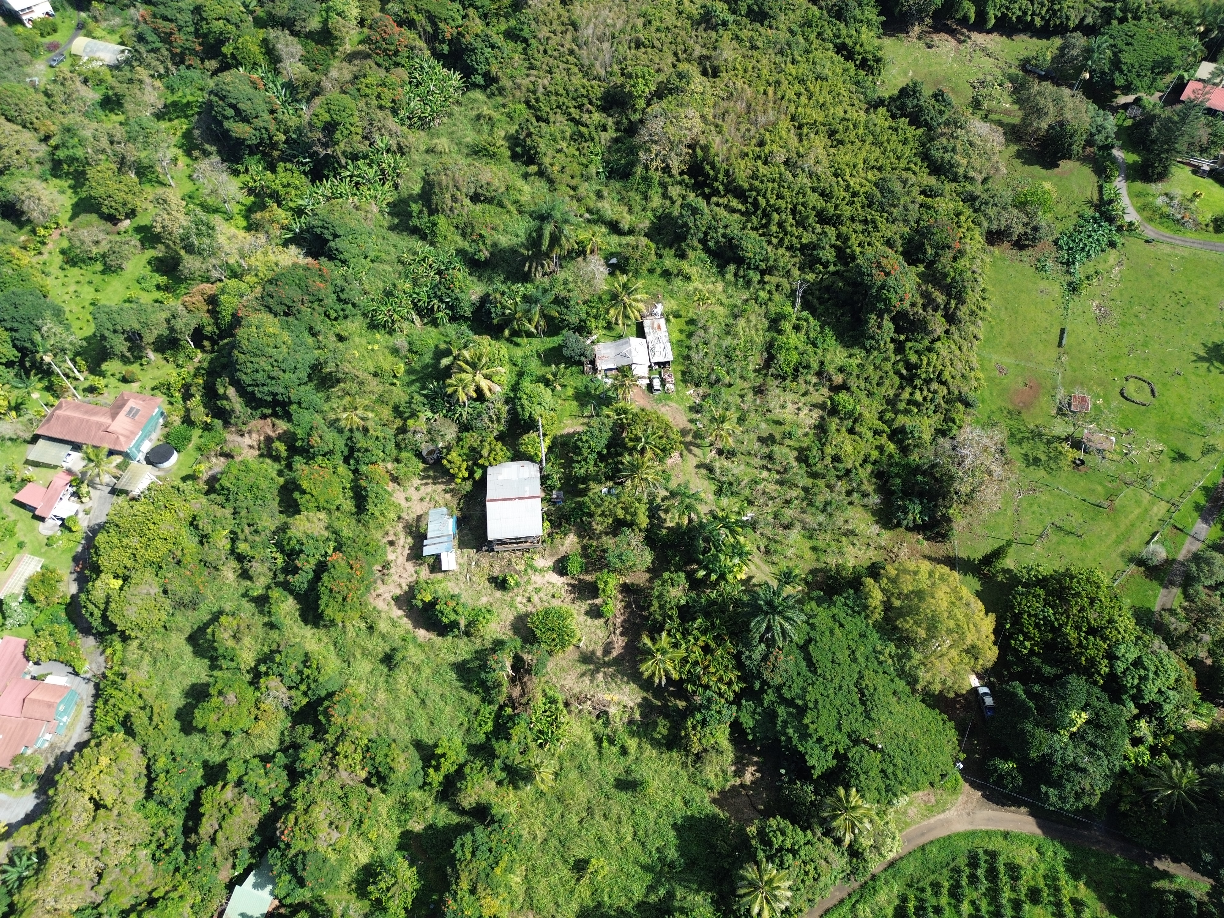 82-1161 Kinue Road Captain Cook, HI 96704 - Photo 11 of 24