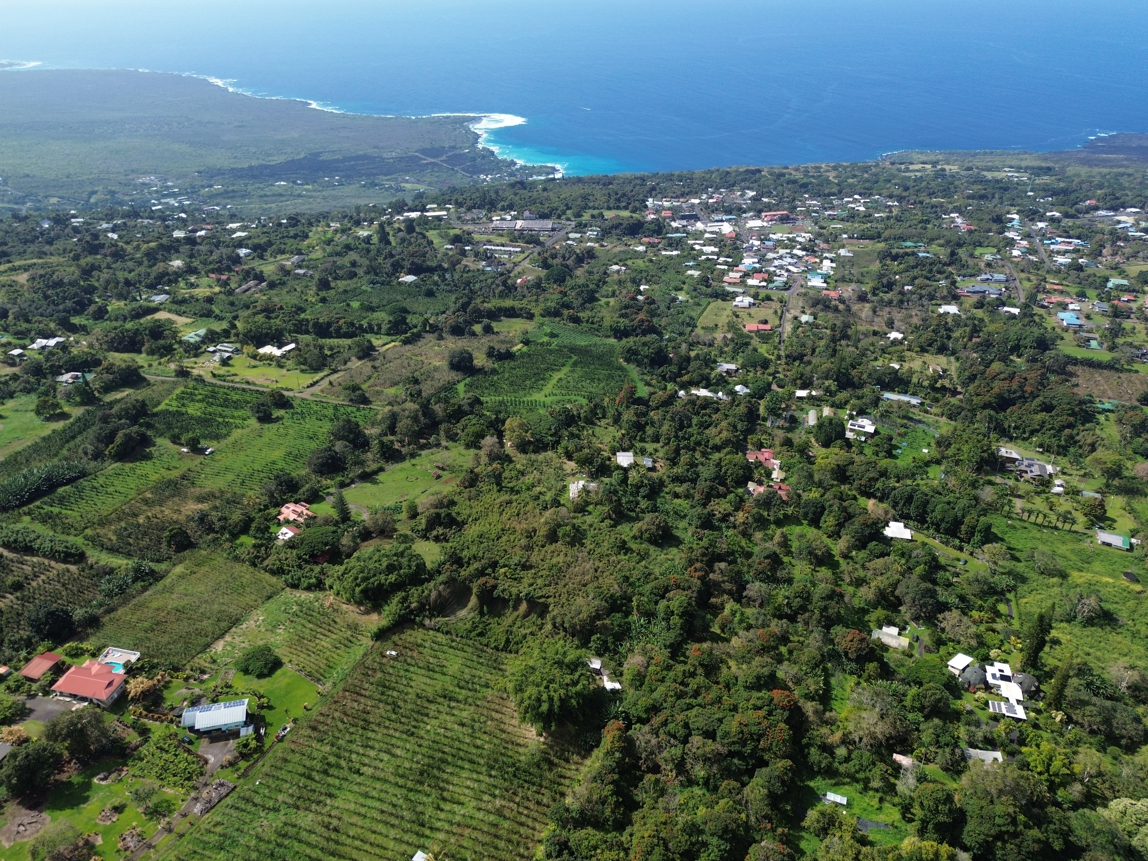 82-1161 Kinue Road Captain Cook, HI 96704 - Photo 14 of 24