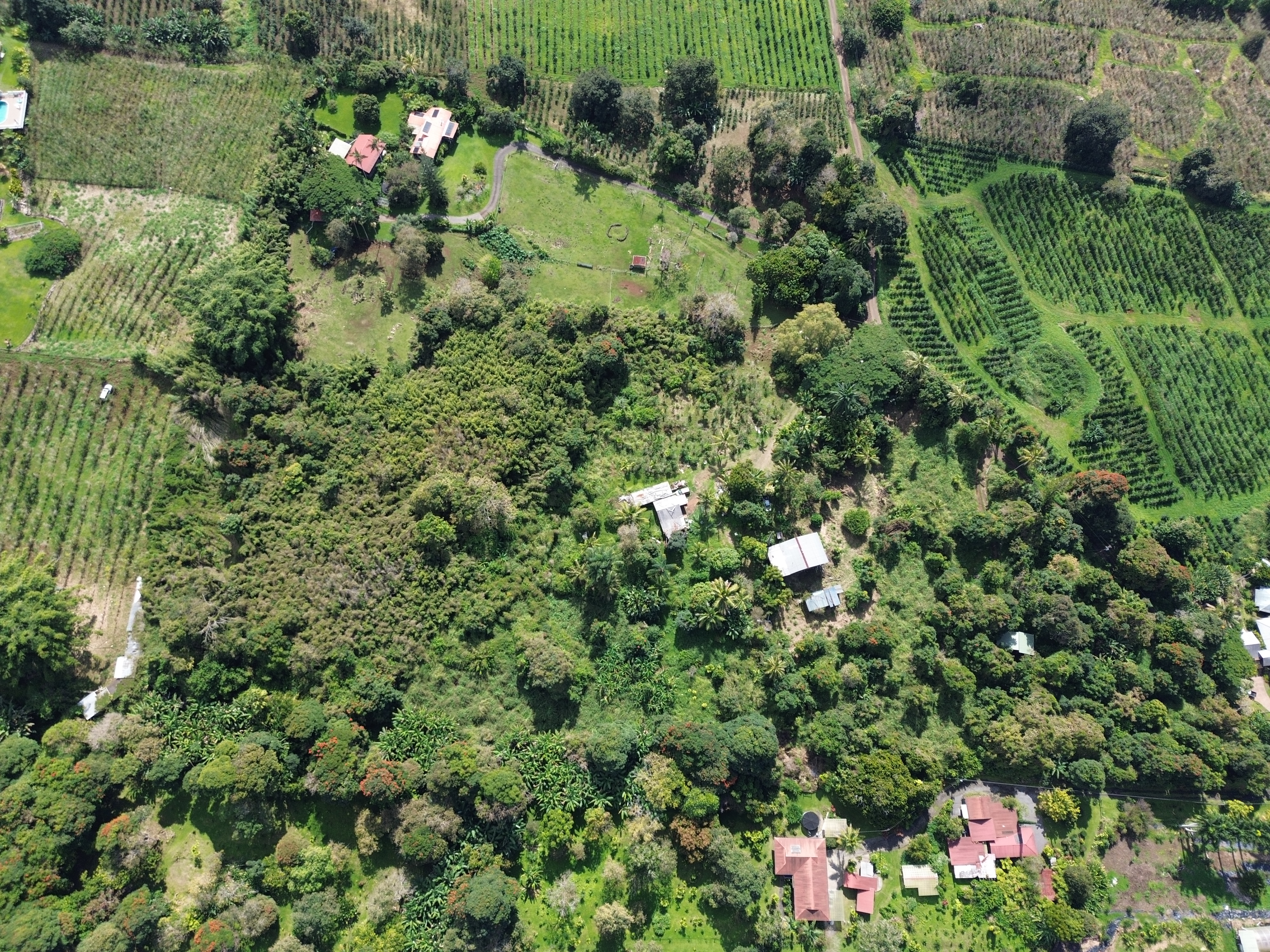 82-1161 Kinue Road Captain Cook, HI 96704 - Photo 17 of 24