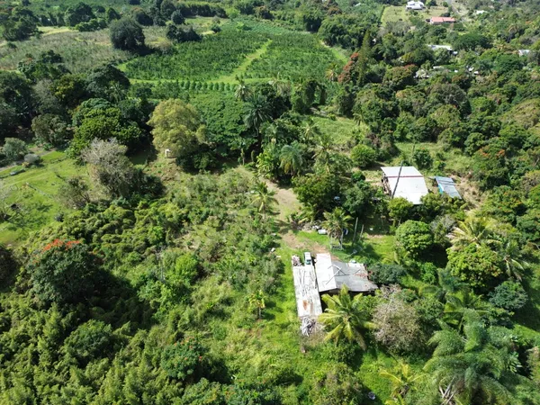 a view of a small house with a yard