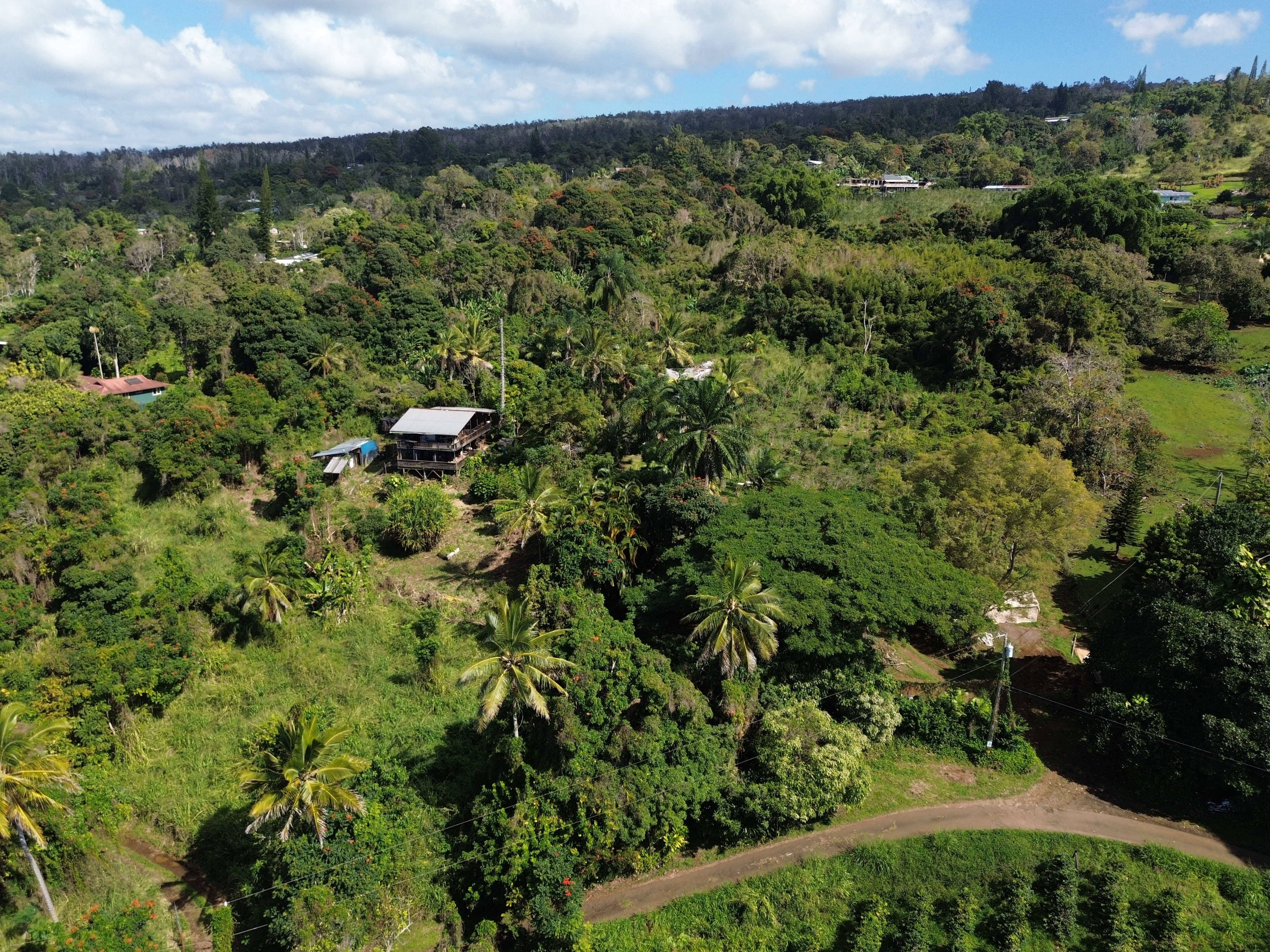 82-1161 Kinue Road Captain Cook, HI 96704 - Photo 20 of 24