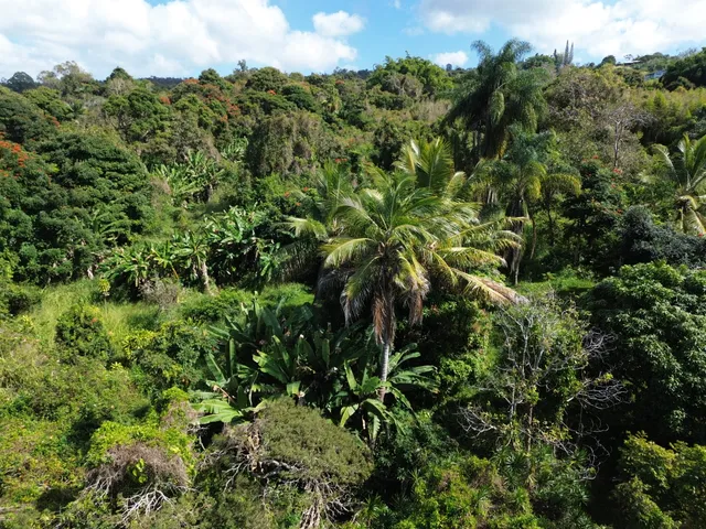 $900,000 | 82-1161 Kinue Road, Captain Cook, HI 96704