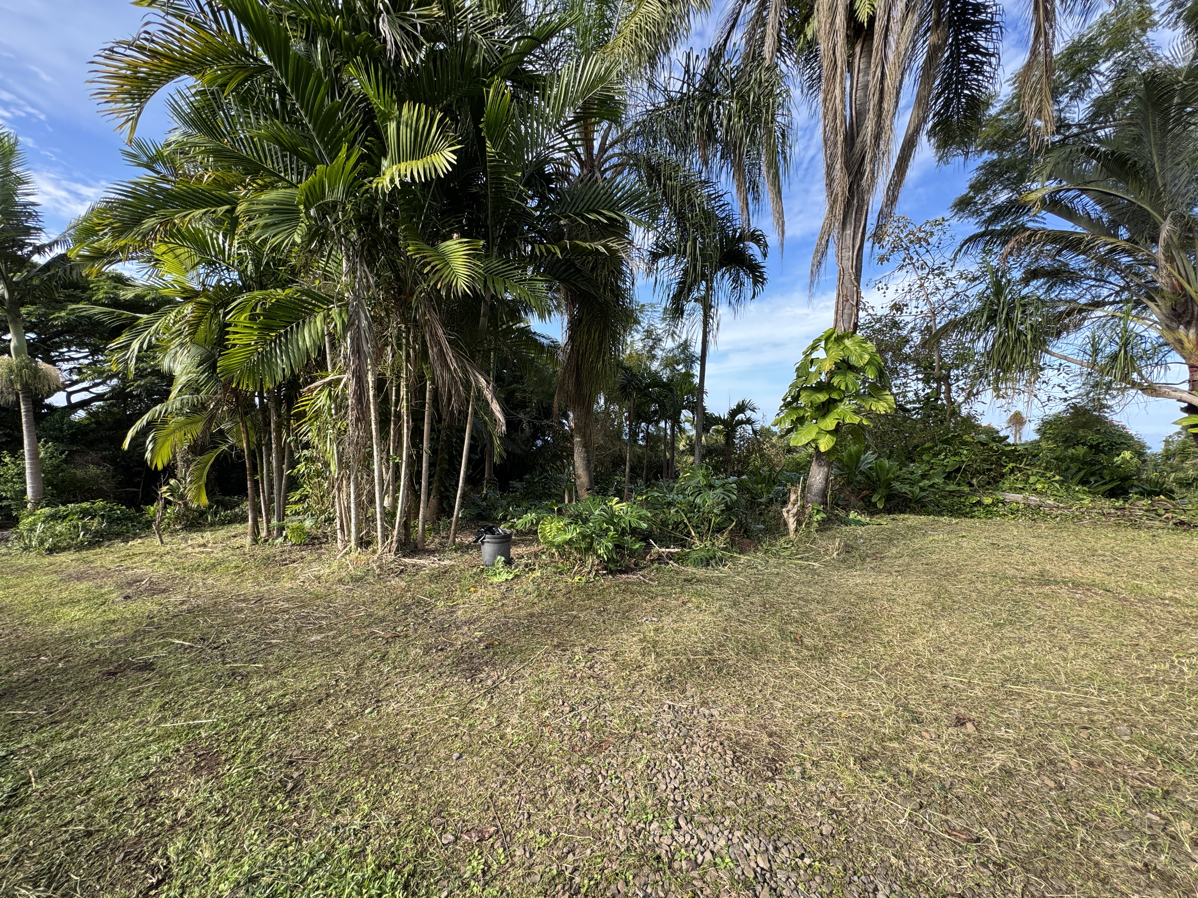 82-1161 Kinue Road Captain Cook, HI 96704 - Photo 3 of 24