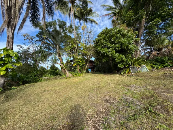 a view of a yard