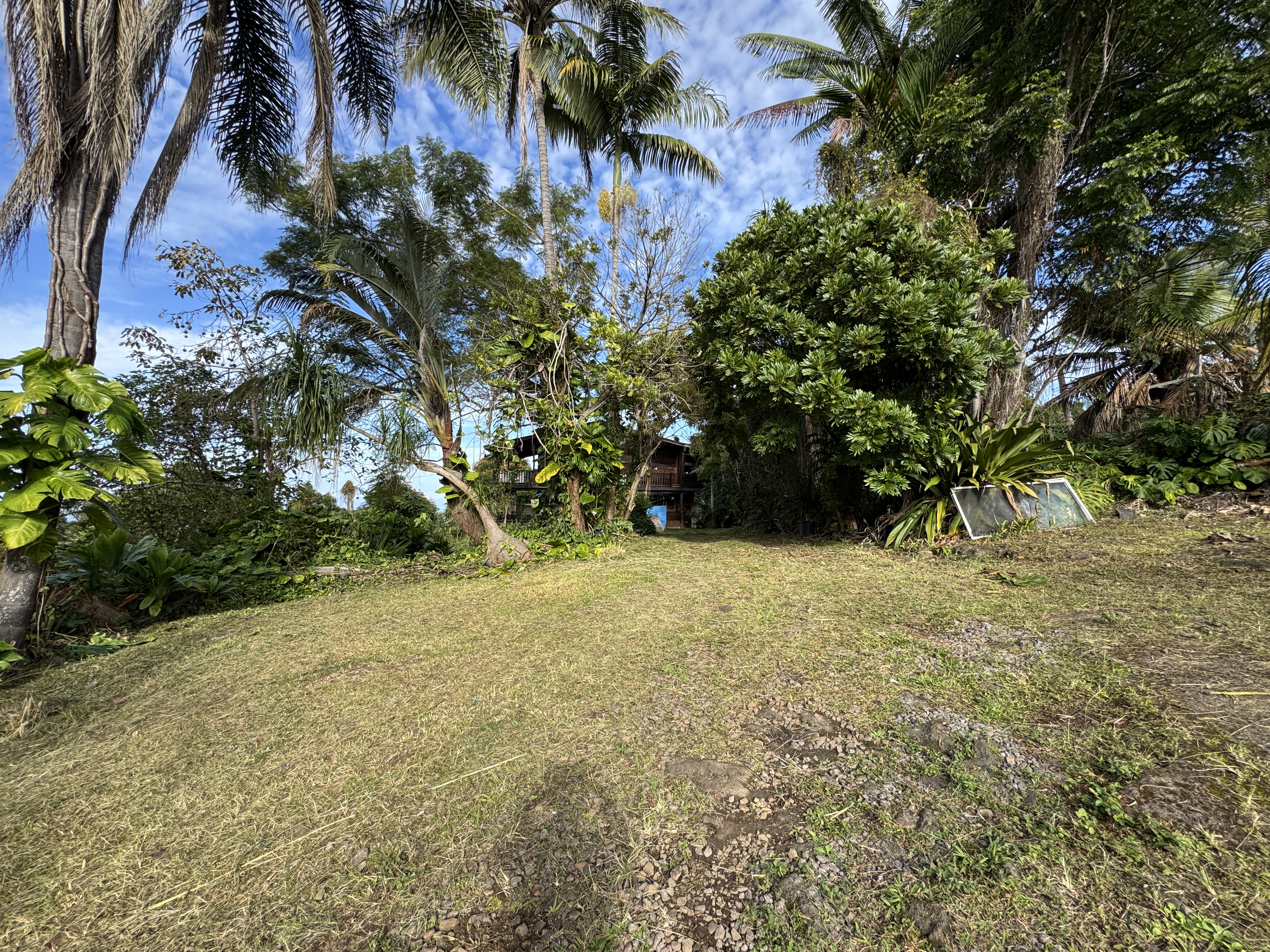 82-1161 Kinue Road Captain Cook, HI 96704 - Photo 4 of 24