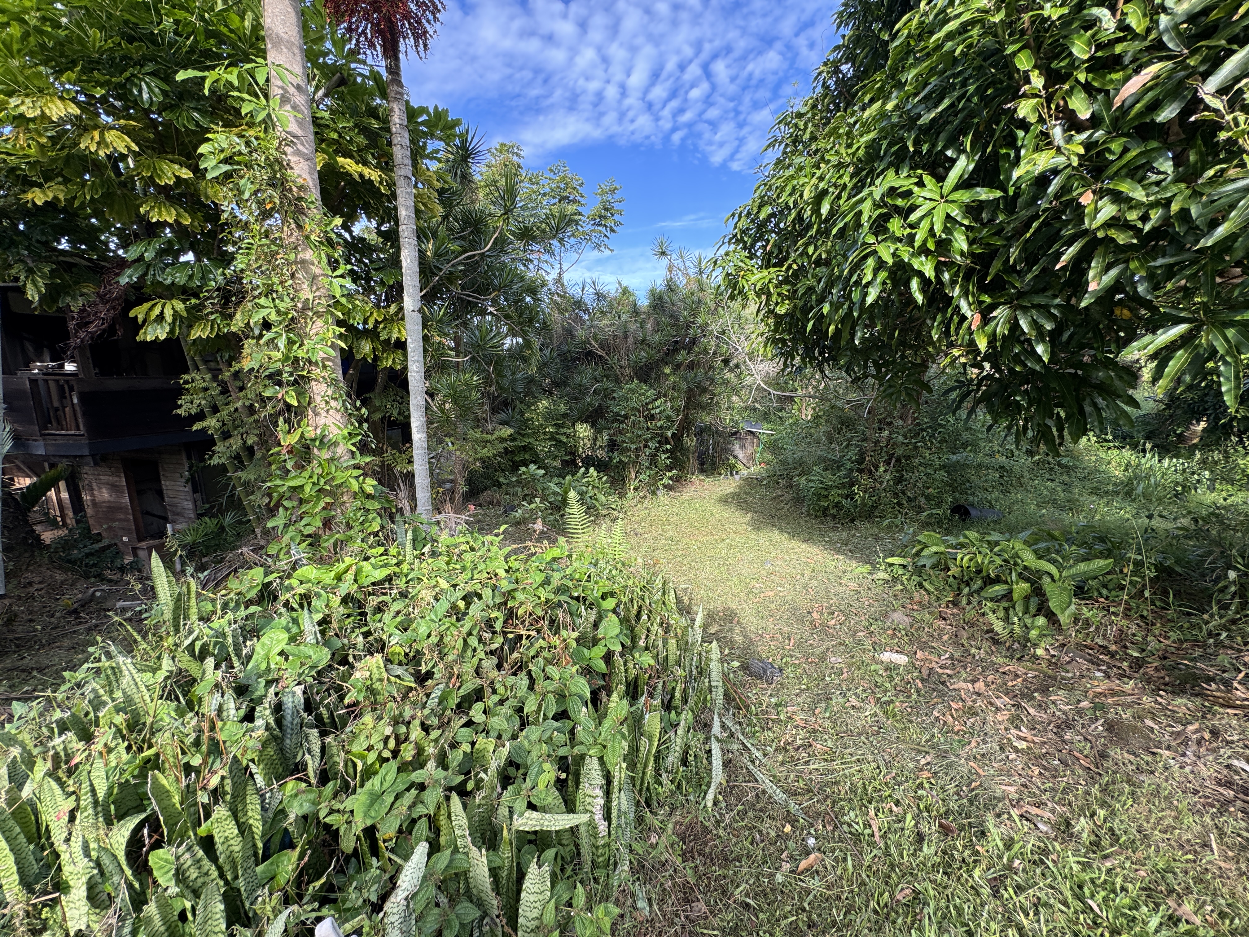 82-1161 Kinue Road Captain Cook, HI 96704 - Photo 7 of 24