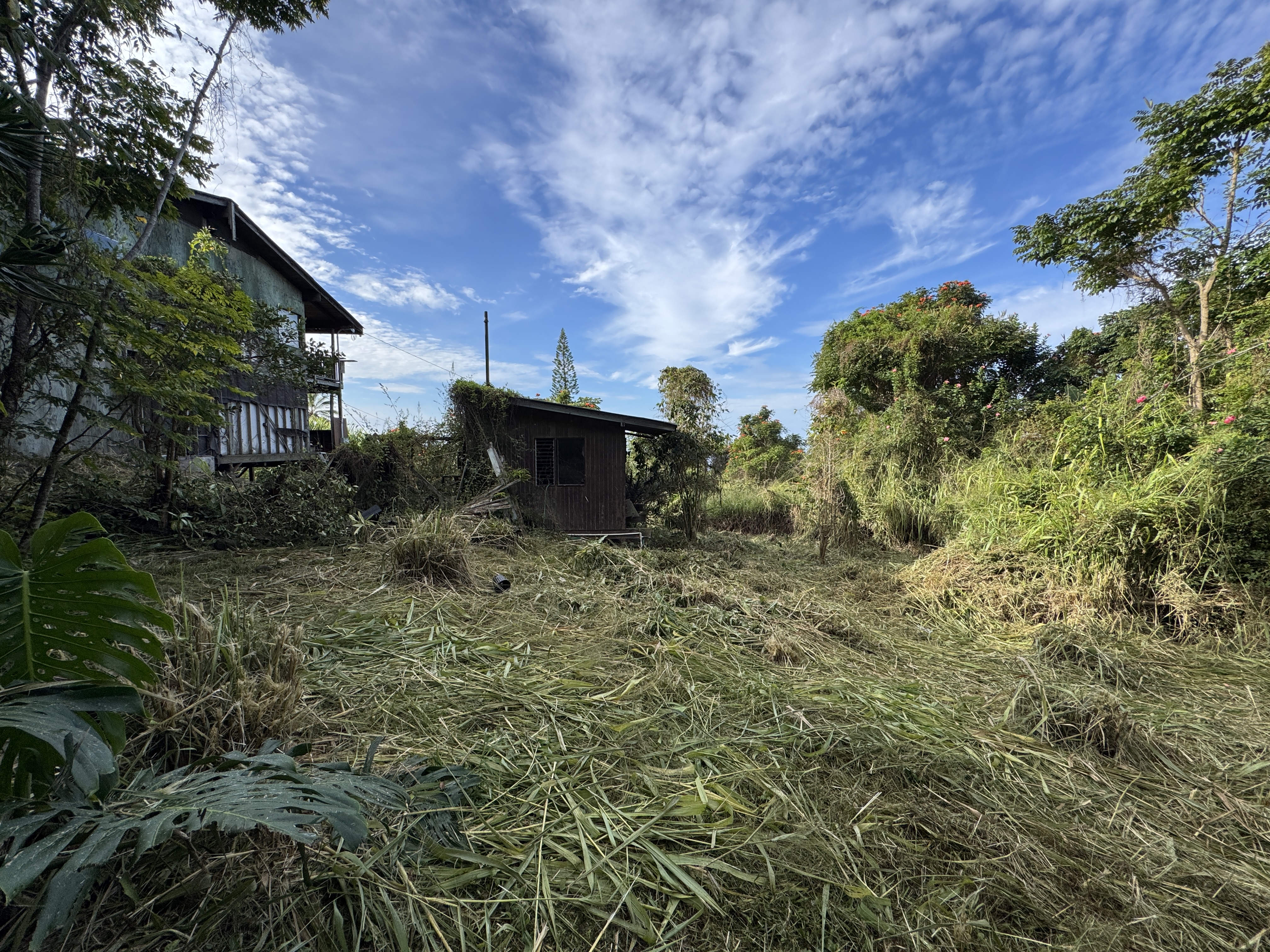 82-1161 Kinue Road Captain Cook, HI 96704 - Photo 8 of 24