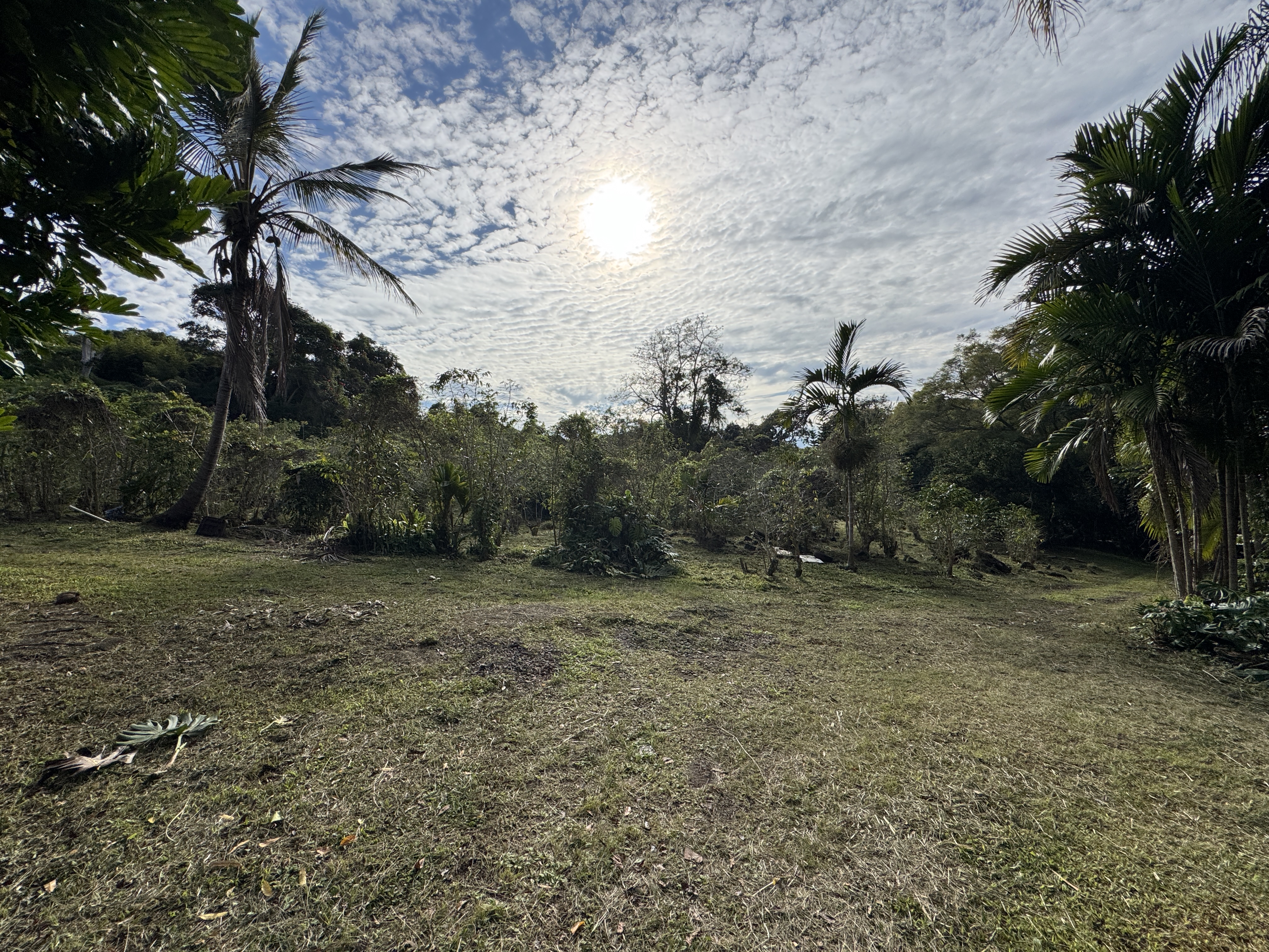 82-1161 Kinue Road Captain Cook, HI 96704 - Photo 9 of 24