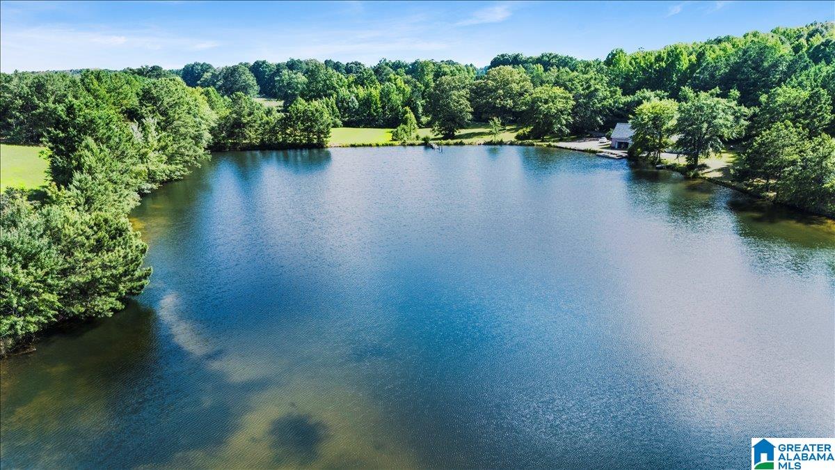 9868 Bankston Road Dora, AL 35062 - Photo 43 of 48