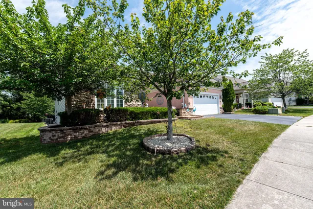 a view of a garden with a tree