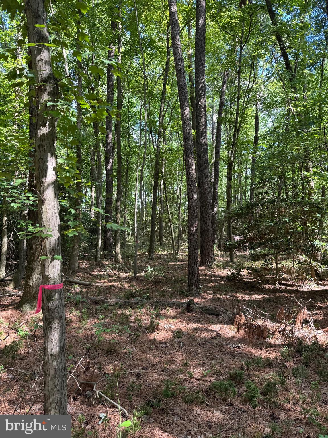 7 Kraft Road Vienna, MD 21869 - Photo 15 of 18 Gallery Image 15