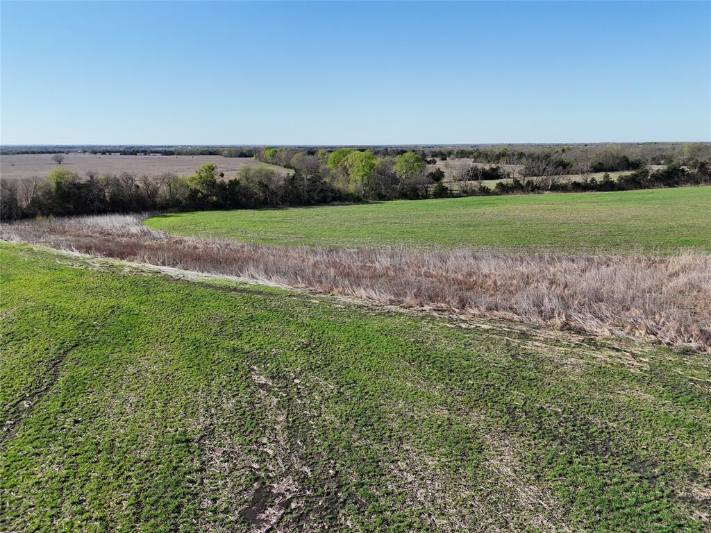 15 Fm 198 Cooper, TX 75432 - Photo 6 of 7