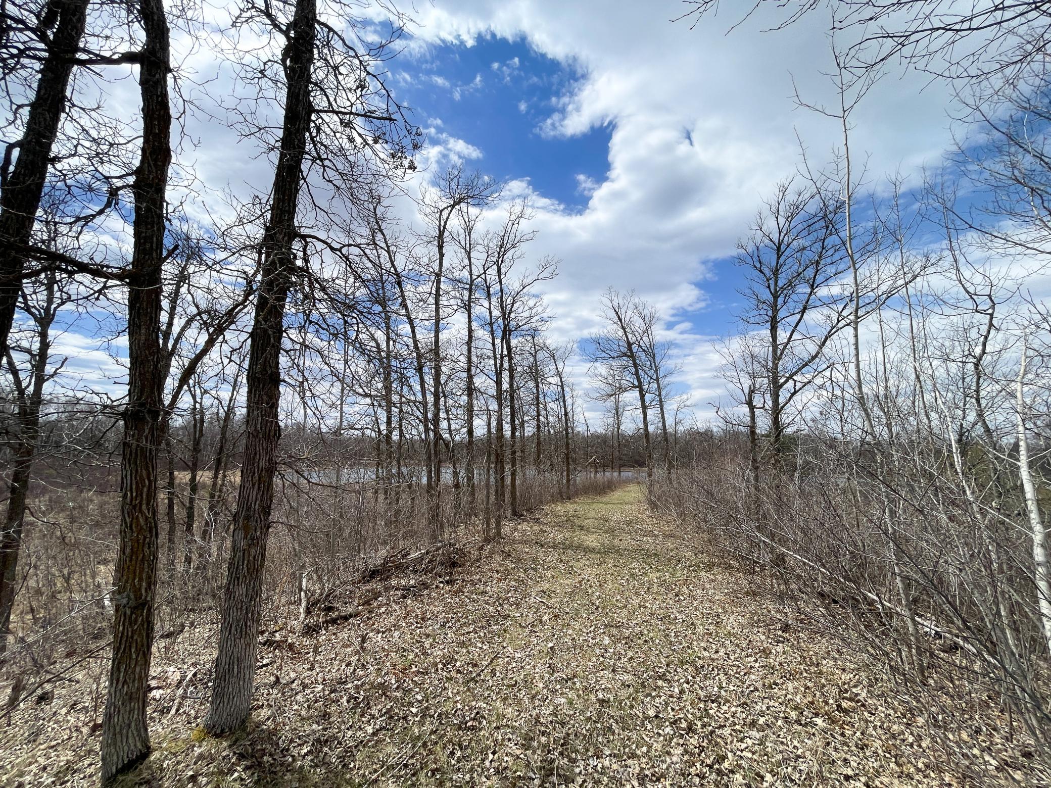 Tbd1 Boot Lake Road Southwest Bemidji, MN 56601 - Photo 23 of 41