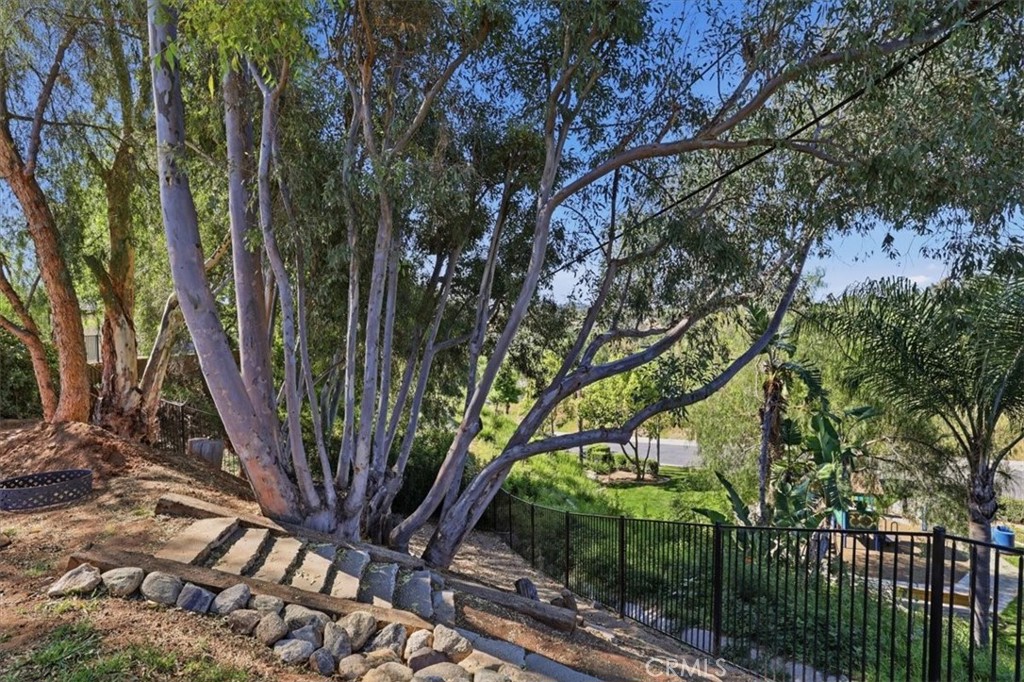 5091 Berryhill Place Riverside, CA 92507 - Photo 42 of 57 Backyard
