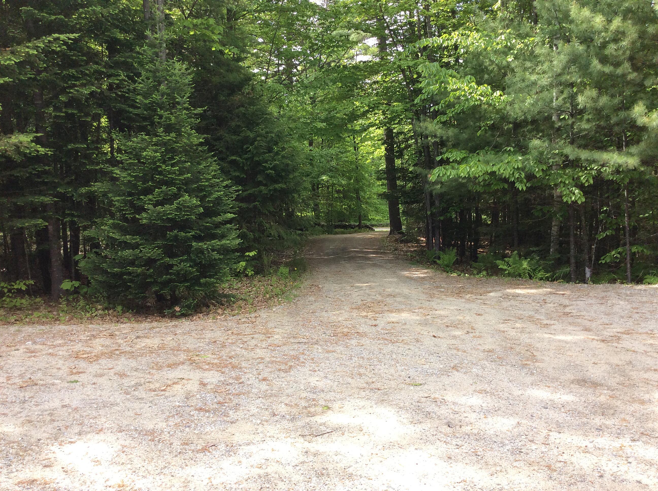 160 Lee Gray Road Harrison, ME 04040 - Photo 30 of 34 IMG_9595