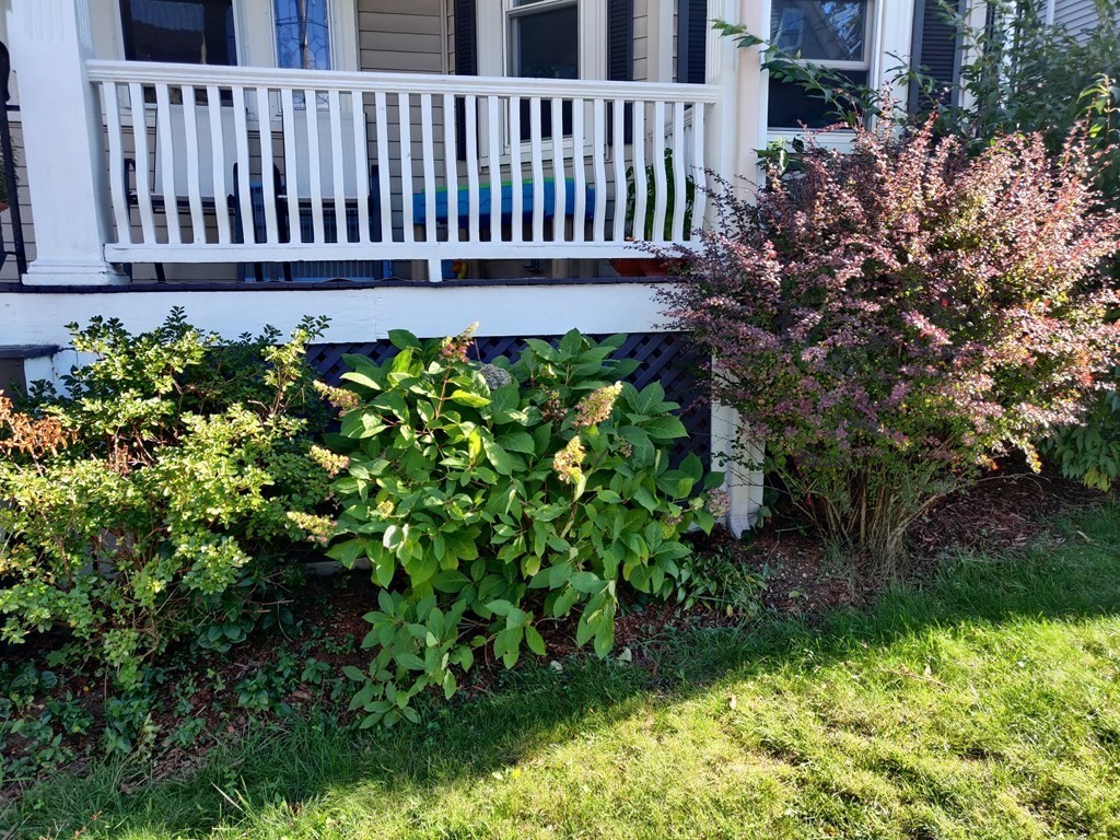 7 Gorham Road Medford, MA 02155 - Photo 39 of 42 a view of a garden with deck of flower