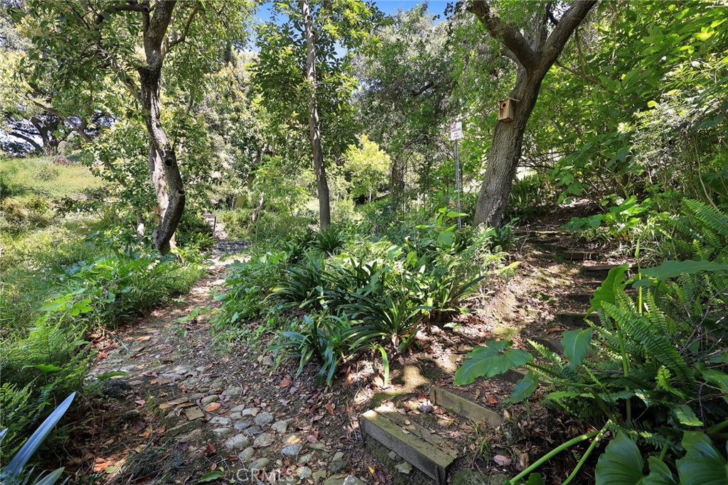 8 Hidden Valley Road Monrovia, CA 91016 - Photo 34 of 45 a backyard of a house with lots of trees