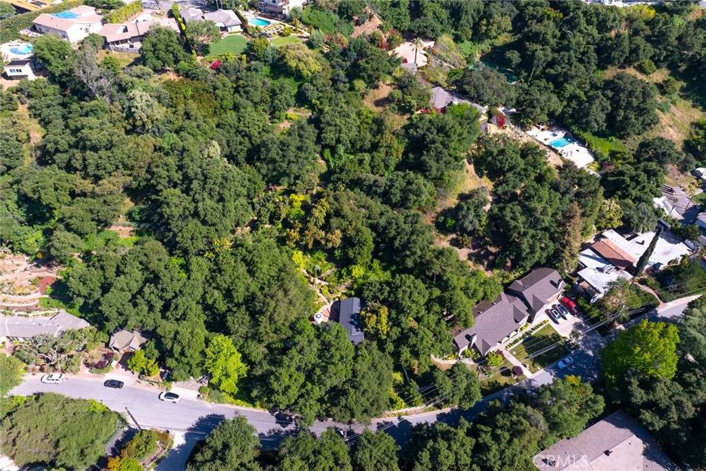 8 Hidden Valley Road Monrovia, CA 91016 - Photo 43 of 45 view of a tree with plants