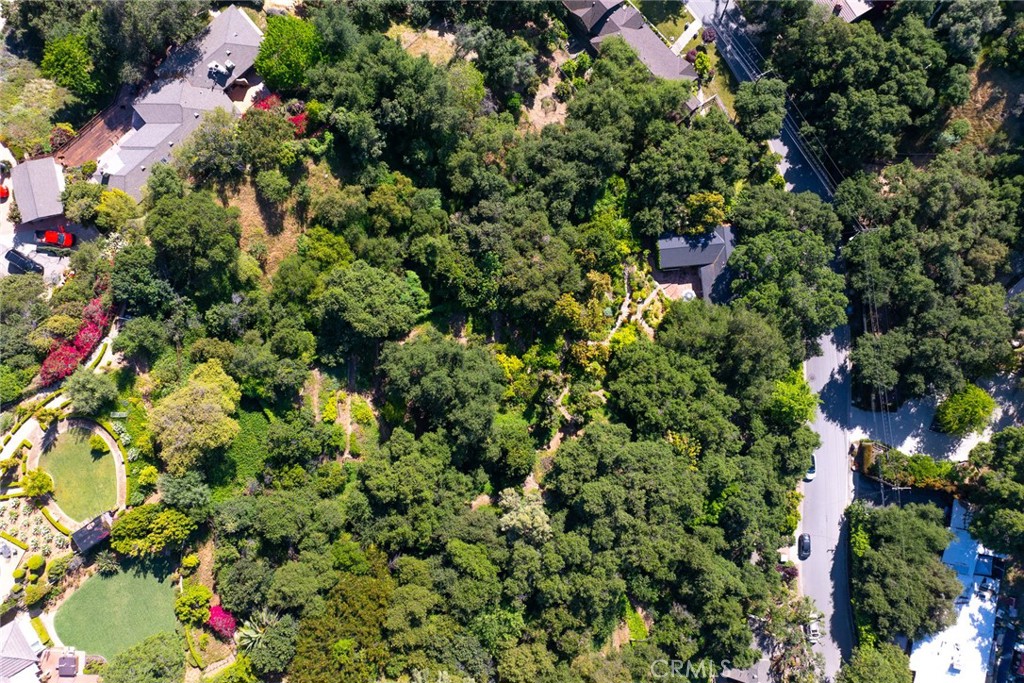 8 Hidden Valley Road Monrovia, CA 91016 - Photo 44 of 45 a view of a plant with a plant