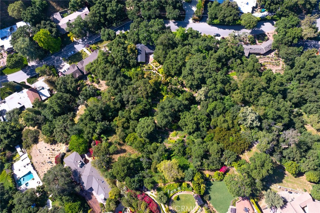 8 Hidden Valley Road Monrovia, CA 91016 - Photo 45 of 45 a view of a plant with lots of plants