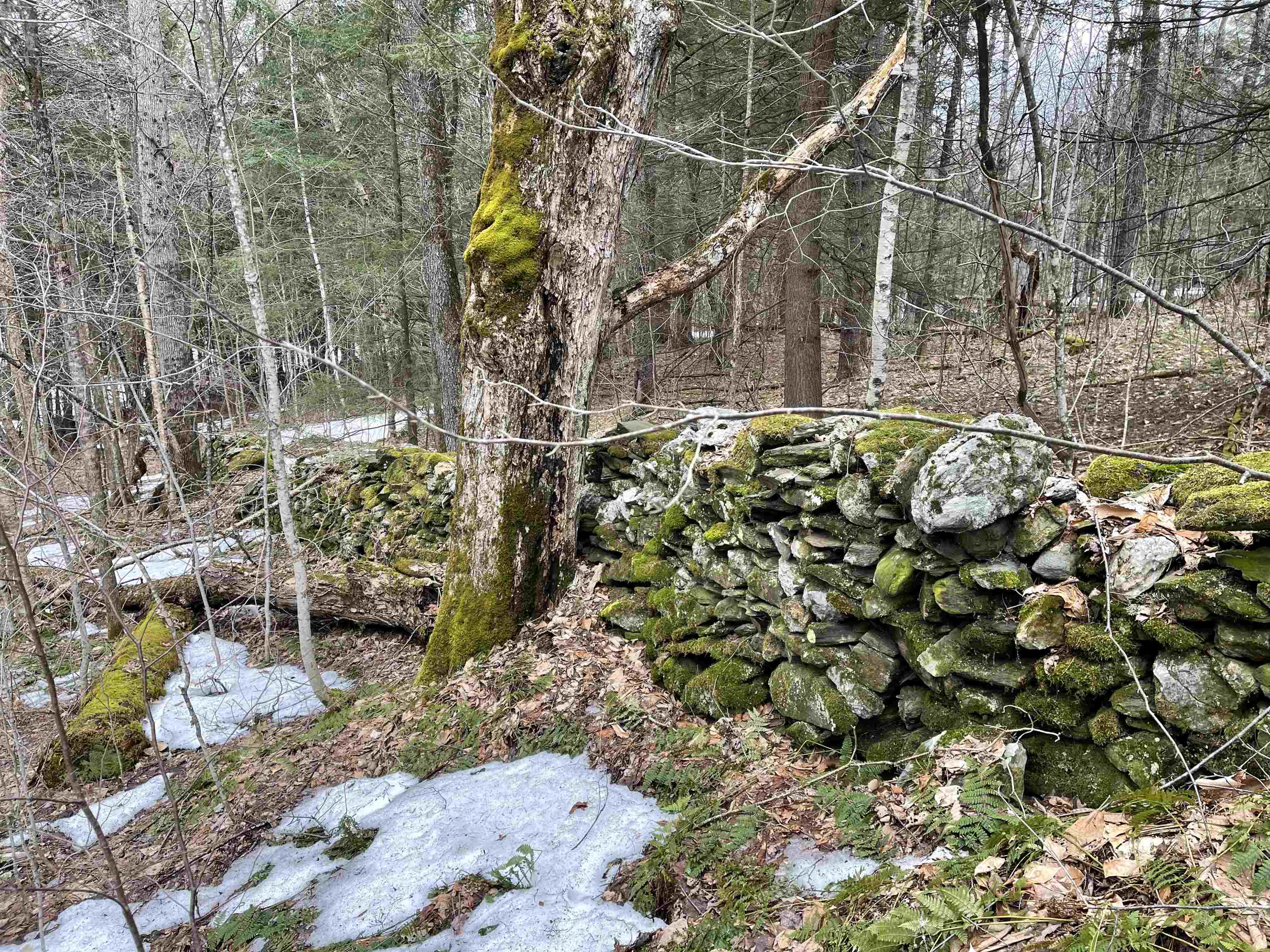 5634 North Road Bethel, VT 05032 - Photo 25 of 28