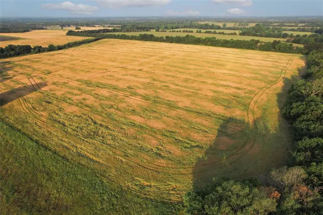 $755,000 | Tdb Tdb Fm-137, Honey Grove, TX 75446