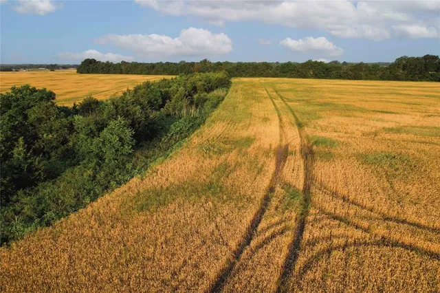 $755,000 | Tdb Tdb Fm-137, Honey Grove, TX 75446