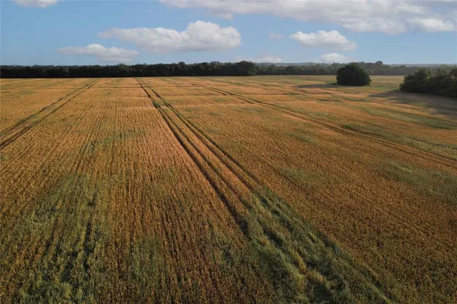 $755,000 | Tdb Tdb Fm-137, Honey Grove, TX 75446