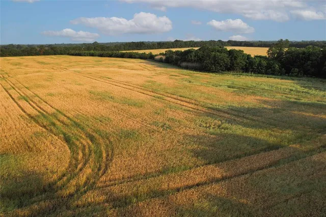 $755,000 | Tdb Tdb Fm-137, Honey Grove, TX 75446